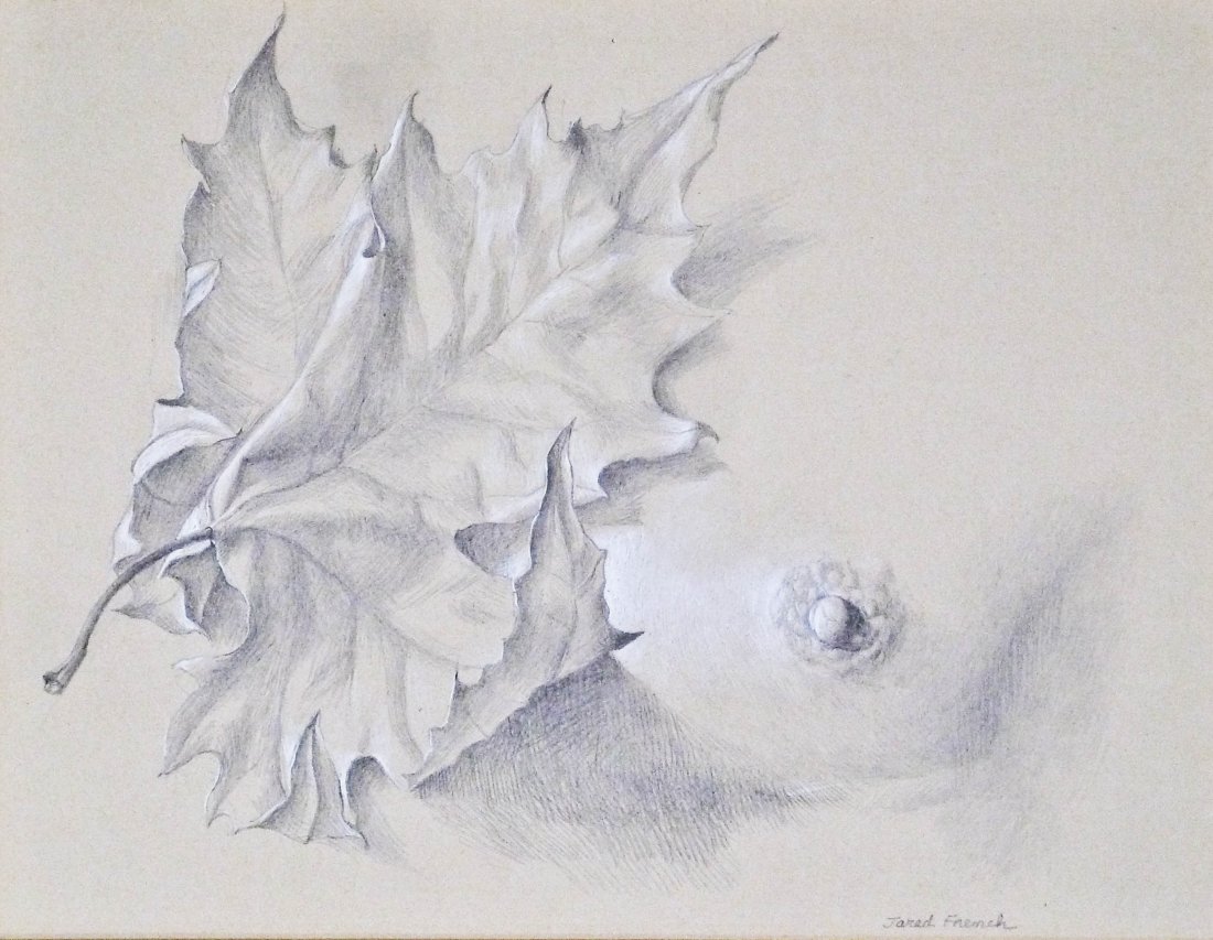 Jared French (1905-1987 New York) Untitled Leaf with (1 of 2)