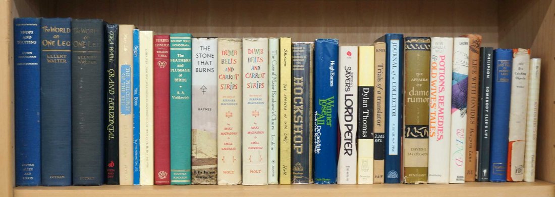 Shelf Books, The Stone that Burns, etc: Shelf Books, The Stone that Burns, etc