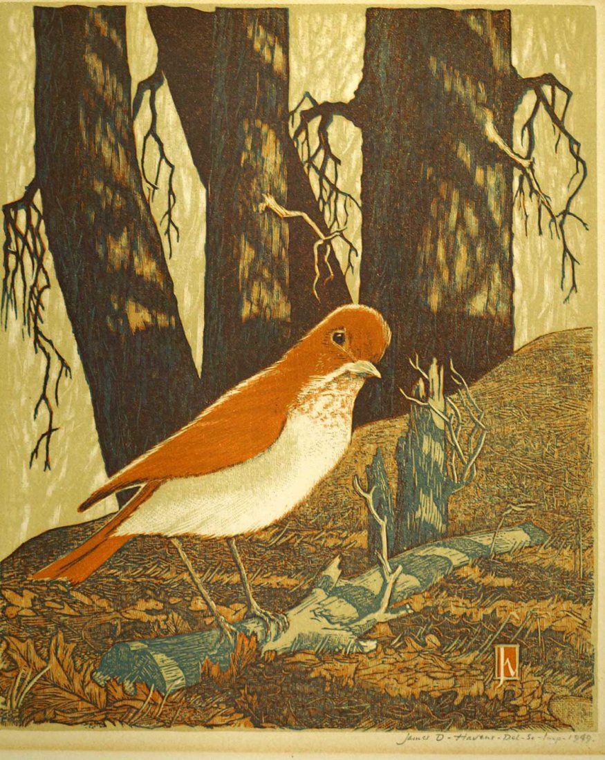James D. Havens (American, 1900-1960) Wood Engraving: James D. Havens (American, 1900-1960) Original Color Wood Engraving. [Shy Veery] dated 1949, edition of 250. Published Woodcut Society, New York. Sheet size 12.5" x 10.5", unframed, loose, pencil sign