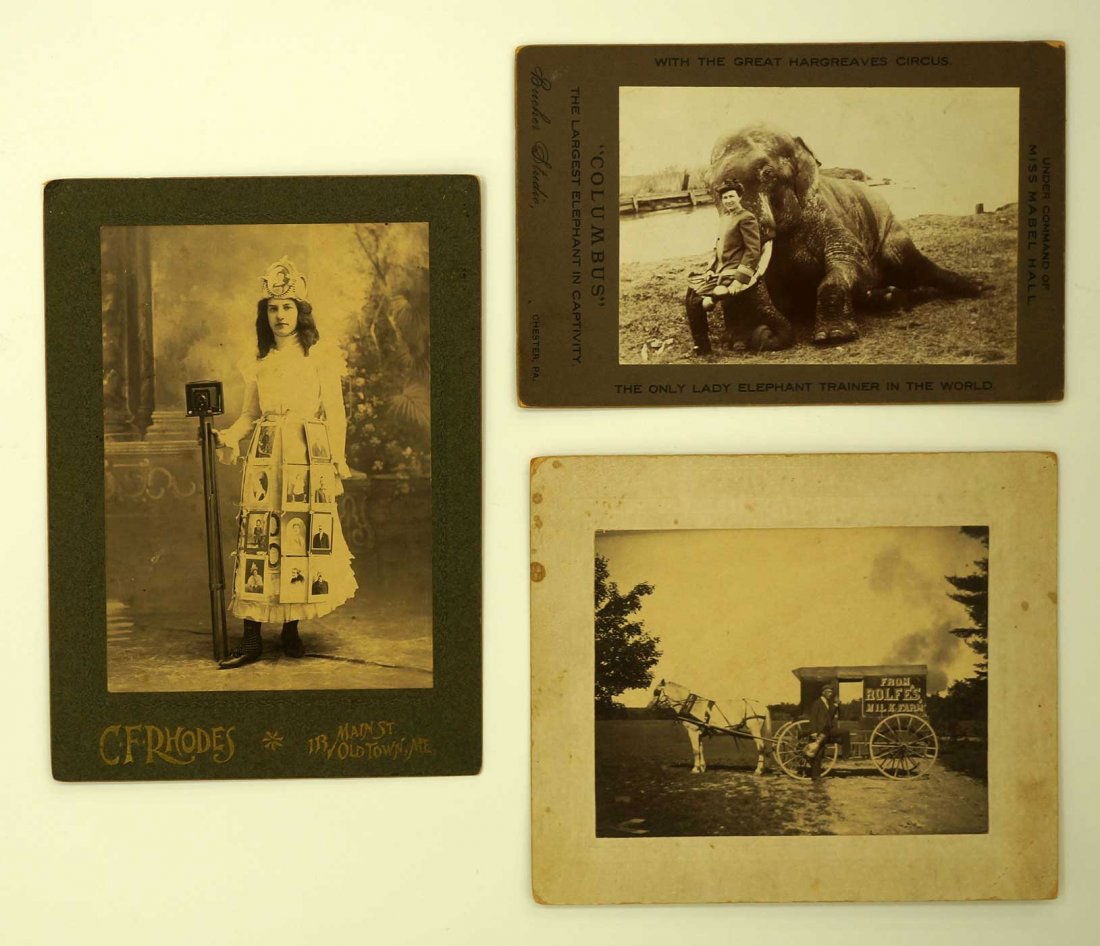 Group Cabinet Card Photos including Only Lady Elephant (1 of 1)
