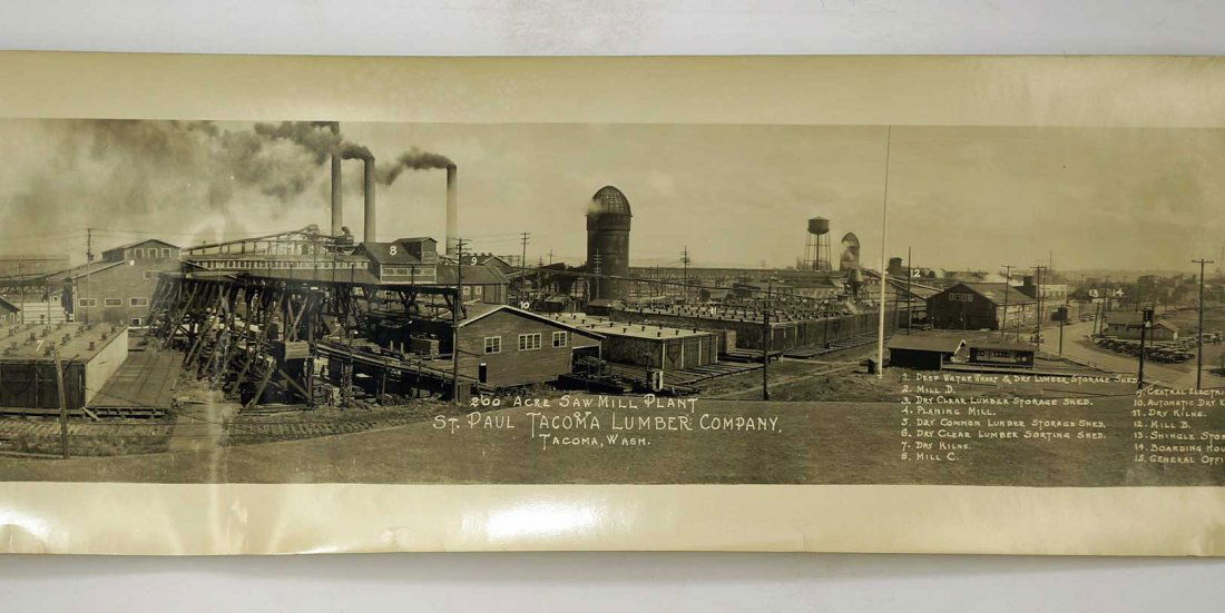 St. Paul Wa. Lumber Mill Yard long Photo, 8'' x
