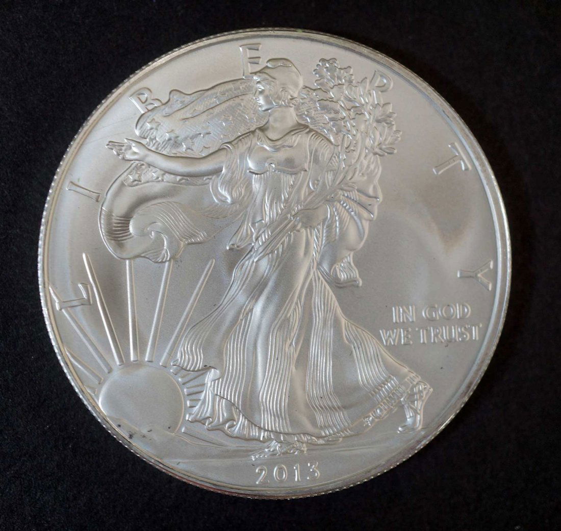 (10) 2013 Silver Eagles $1 one ounce .999 silver w/COA (1 of 2)