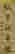 item-66900623=3
