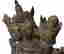 item-135018635=9