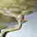 item-135018639=10