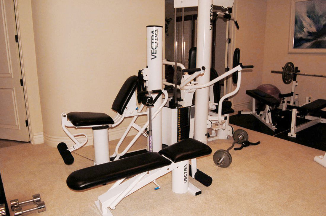 2 Piece Gym Weight Machine By Vectra Online 3800 Lot 0039