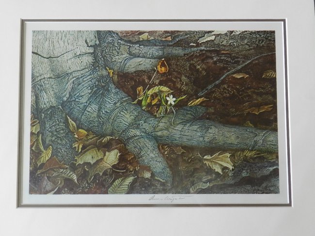 Andrew Wyeth "Spring Beauty" Pencil Signed: Custom matted measures: 20" x 16" inches. Sight: 16" x 11 1/2" inches. Unframed. Hand signed print. Collotype ,COA included.