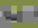 item-19720252=4