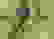 item-29113739=6