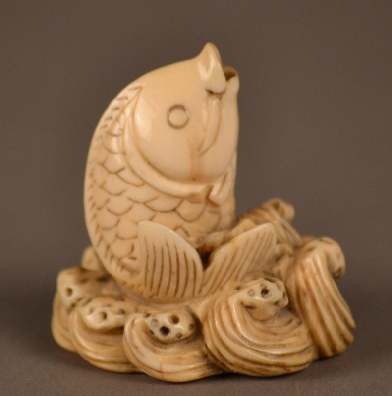 Ivory Fish Netsuke: Ivory Netsuke Fish Very well carved nice detail. 1" X 1 3/4"