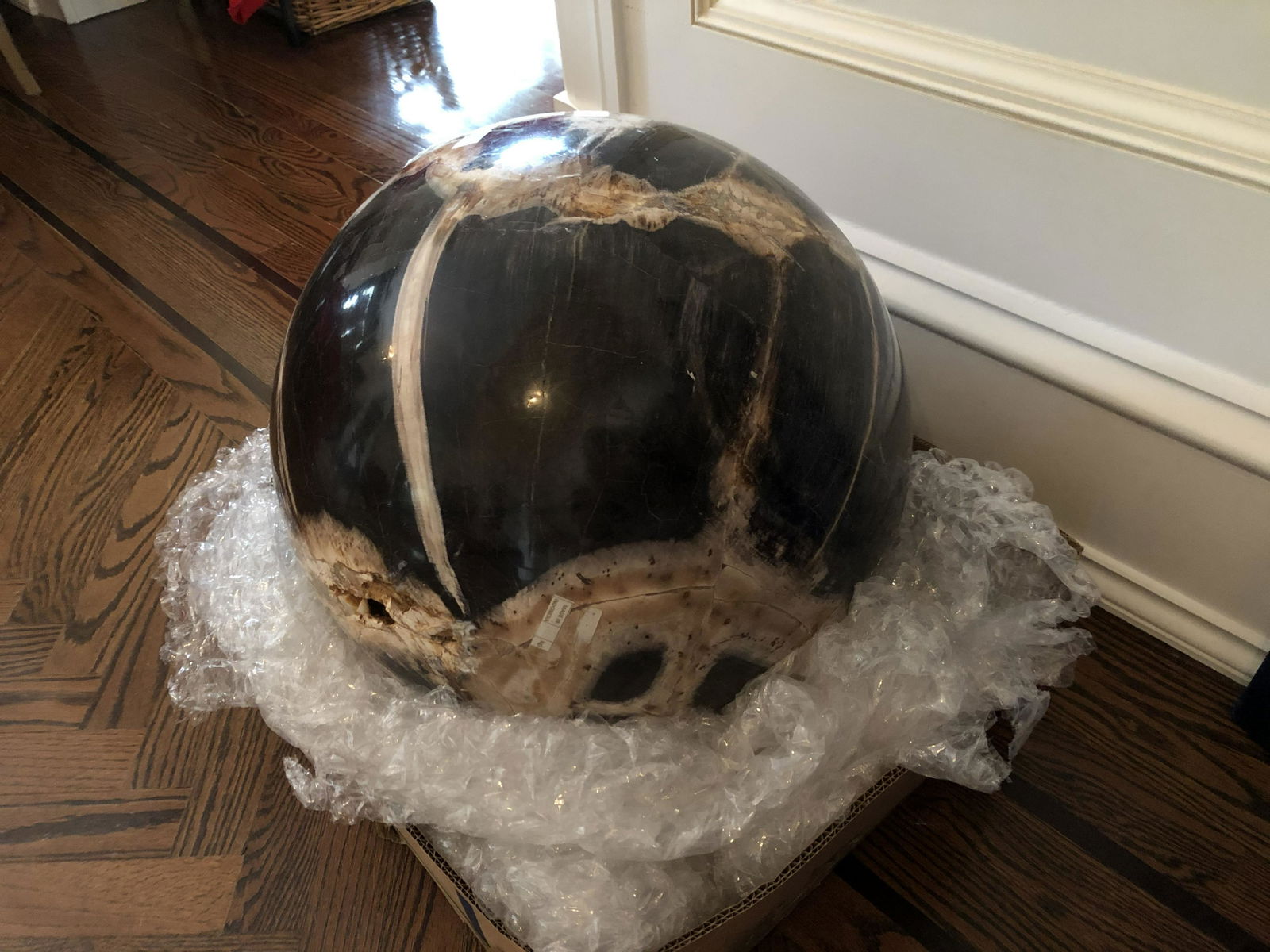Petrified Wood Sphere (1 of 5)