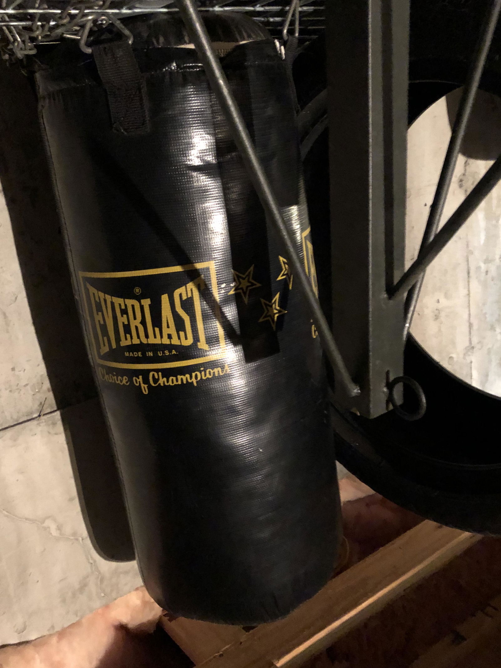 Everlast Punching Bag (1 of 1)