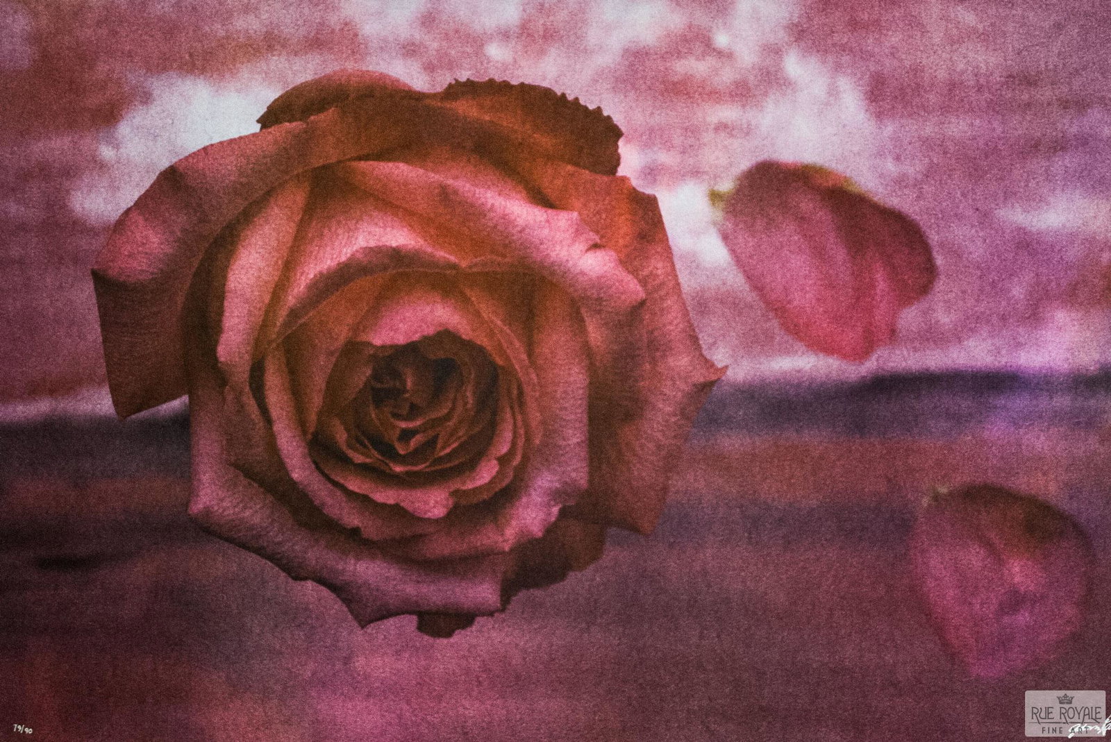 Falling Petals: Fusion Photo Lithograph, sequentially numbered edition of 90. Signed by the artist. Categories: Contemporary Lithos, Gordon Parks, View All Contemporary Lithos, Photography, View More RR Products Tags