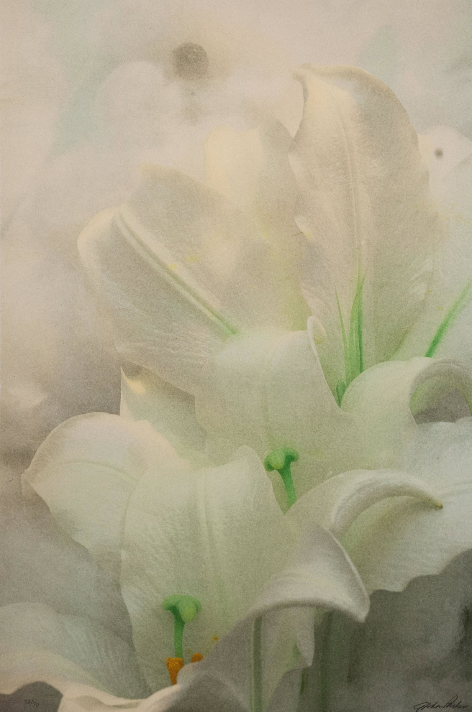 Glimpses: Fusion Photo Lithograph, sequentially numbered edition of 90. Signed by the artist. Includes certificate of authenticity. Categories: Contemporary Lithos, Gordon Parks, View All Contemporary Lithos, P