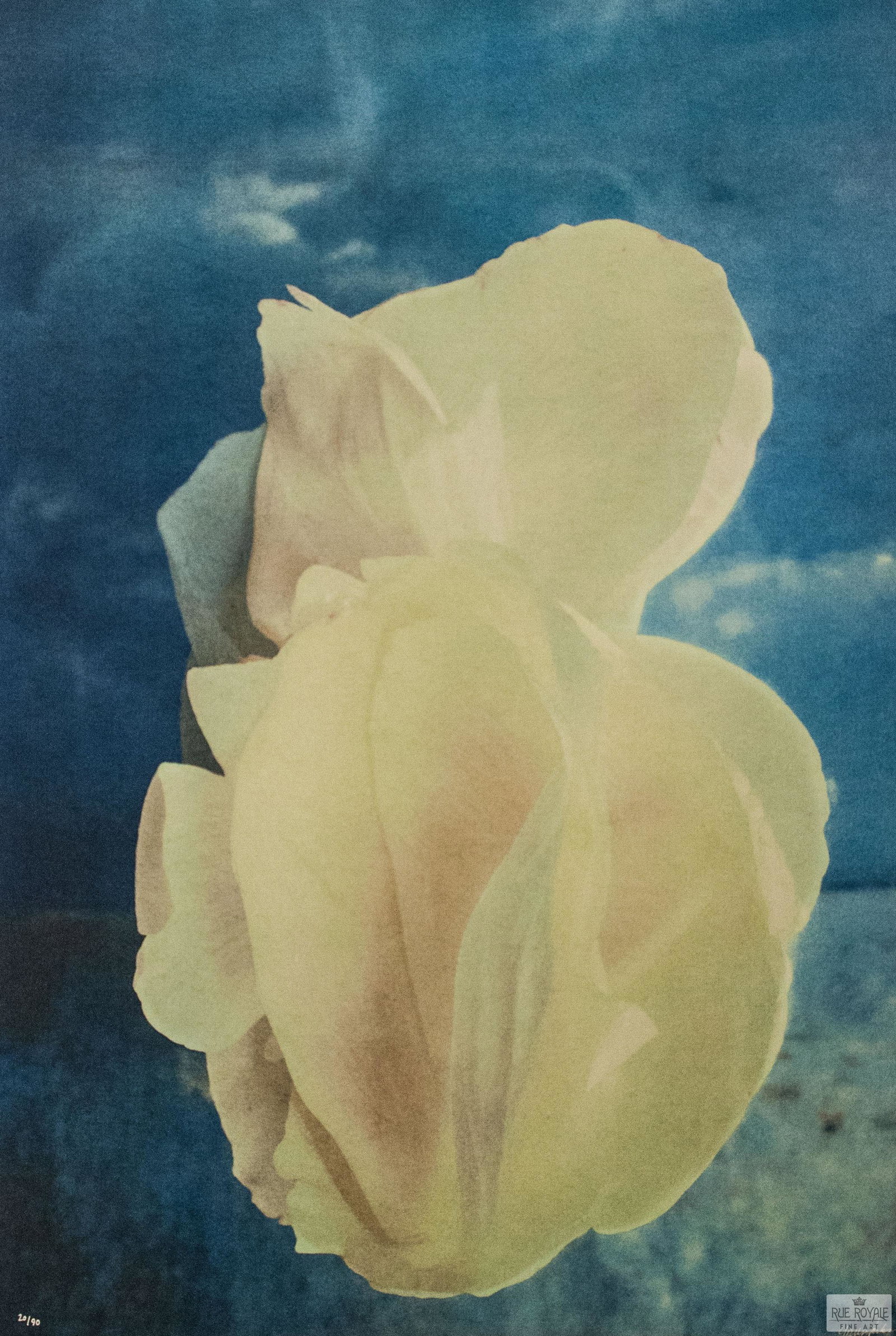 Love Petals: Fusion Photo Lithograph, sequentially numbered edition of 90. Hand signed by the artist. Includes certificate of authenticity.Categories: Contemporary Lithos, Gordon Parks, View All Contemporary Litho