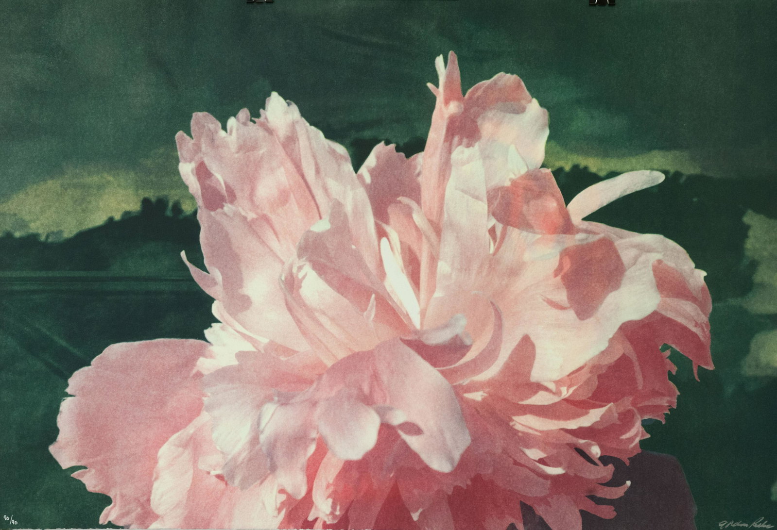 Night Blossom: Fusion Photo Lithograph, sequentially numbered edition of 90. Signed by the artist. Includes certificate of authenticity. Categories: Contemporary Lithos, Gordon Parks, View All Contemporary Lithos, P