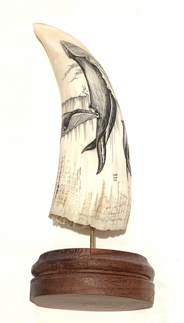 Whale’s Tooth Scrimshaw: Depicting three whales in continuous scene, signed Geoff Olsen. Height: 5 1/2”. From the Estate of a prominent Beverly Hills Collector. THIS ITEM IS LOCATED AND SHIPPING FROM CORONA DEL MAR, CA.