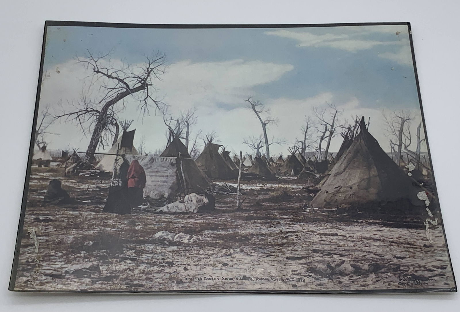 "Spotted Eagle (1 of 3)