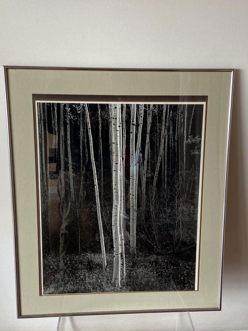 Framed B&W Photo (1 of 4)