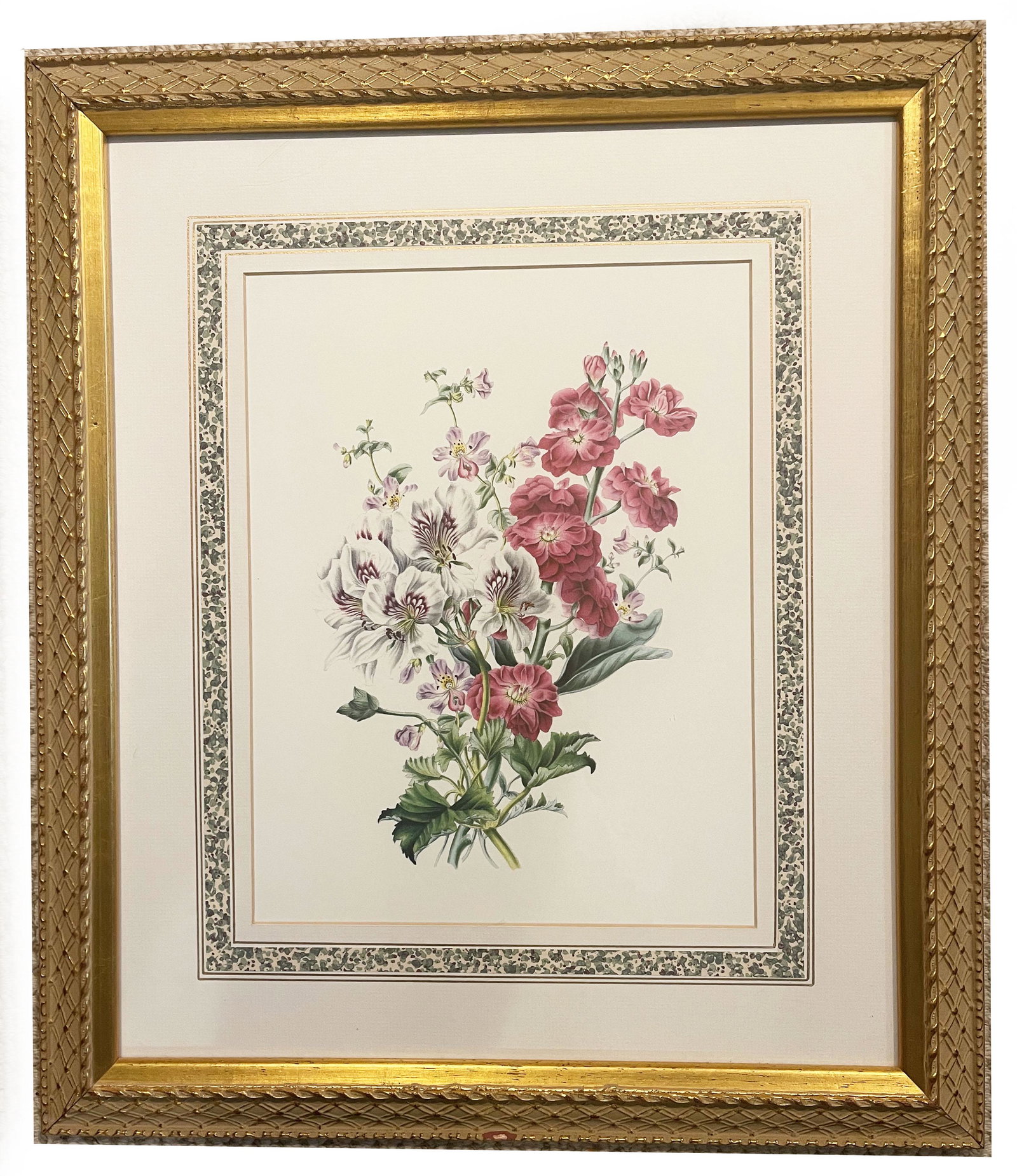 James Andrews - Floral Print "Flora's Gems": White Geranium, Schizanthus. Floral Print of Painting "Flora's Gems" by James Andrews (1801-1876); British Botanical Illustrator. This item is located and shipping from FARMINGTON, CT