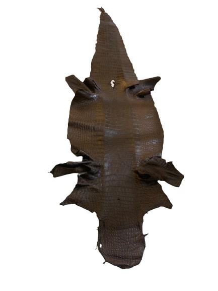 Alligator Taxidermy Belly 8ft Hide (1 of 2)