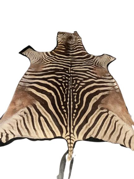 Genuine Zebra 8 ft Skin Taxidermy Rug: 8 ft Genuine Zebra Skin Taxidermy Rug - This hide was professionally tanned and measures 96" x 69" at it's widest point. This rug is also felt lined and in good condition. However, there is a small st