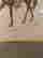 item-137105139=2