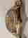 item-147457345=18