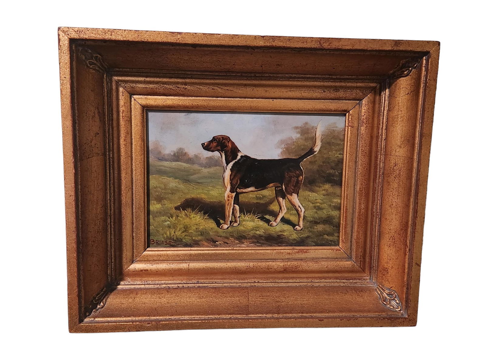 Briese Signed Fox hound Oil on Canvas (1 of 4)