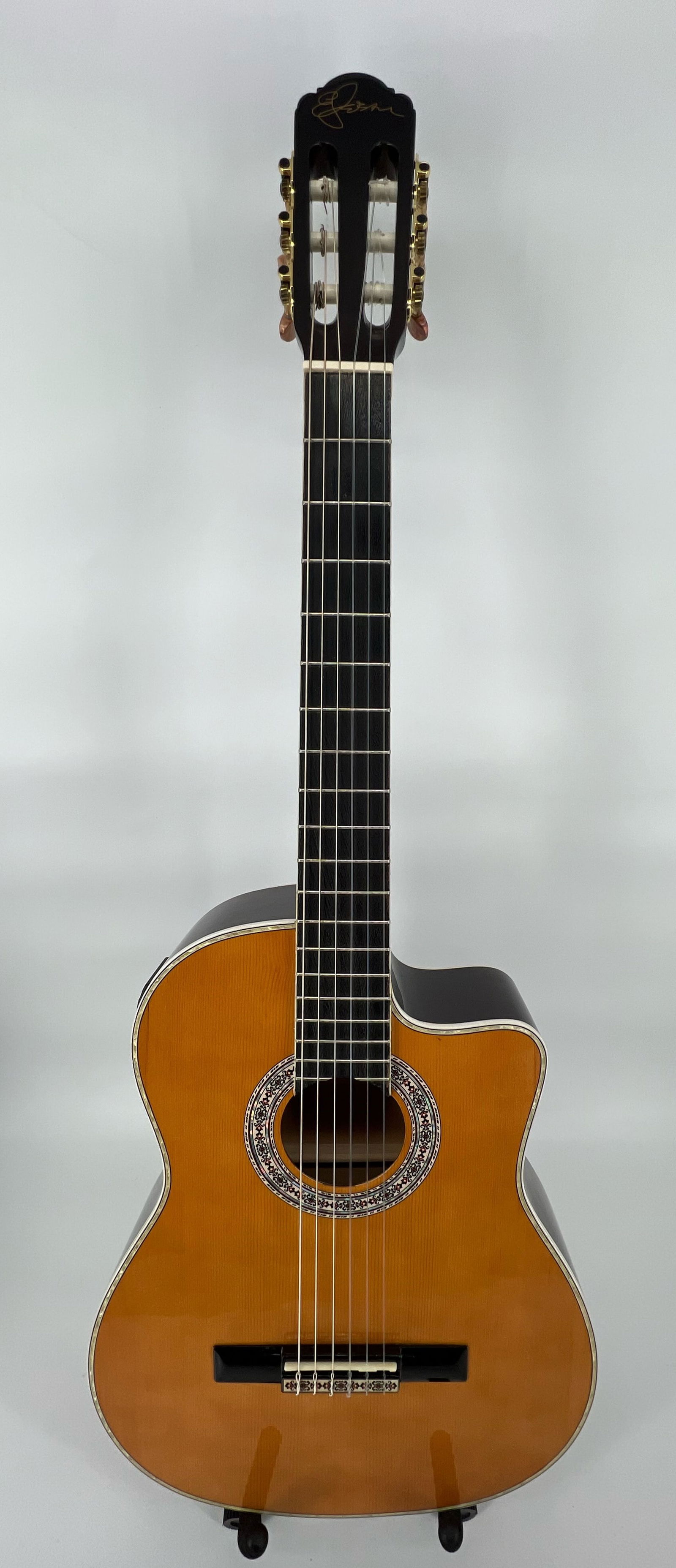 Esteban's Granada Classical Guitar Acoustic / Electric Model G-100 (1 of 9)