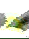 Dale Chihuly Art Glass Sculpture - Green & Yellow