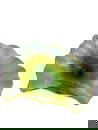 Dale Chihuly Art Glass Sculpture - Green & Yellow