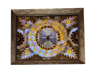 Butterfly Wings Framed Wall Art