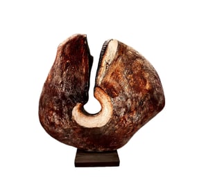 Petrified Wood Style Specimen, Mounted, 23 Inches Across