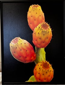 Cactus Fruit, Art Print