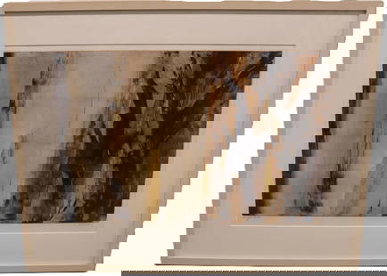 Lynne Bernay - Calypso #12 - Framed Lithograph: Artist: Lynne Bernay Title: Calypso #12 Dimensions: Artwork - 15 x 24, Framed - 24 x 32 x 1 in Description: An evocative abstract composition by Bernay, Calypso #12 explores dynamic movement and textu