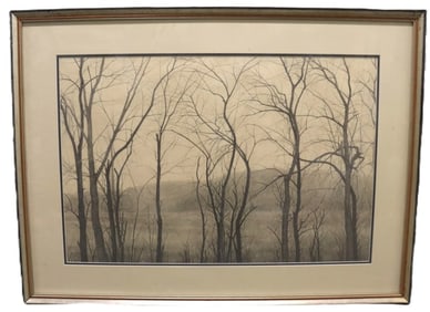 Winter Trees in Fog Drawing
