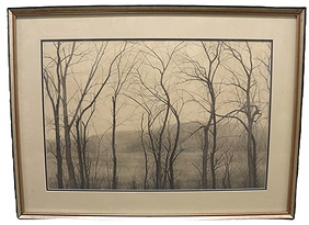 Winter Trees in Fog Drawing First Image