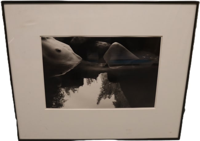 Terrence Reed, Repose, Silver Print, Titled and Signed: Terrence Reed, Repose, Silver Print, Titled and Signed Artist:Terrence Reed Title:Repose Medium:Silver Print Description: A contemplative black-and-white silver print by Terrence Reed, blending the or