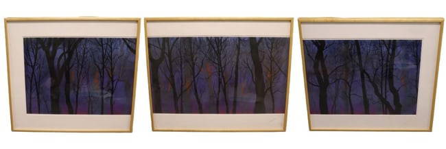 Steve Comba, Grove, Pastel Triptych: Steve Comba, Grove, Pastel Triptych Left Panel: Artist: Steve Comba Title: Grove (Left Panel) Medium: Pastel on Paper Description: Part of an atmospheric triptych, this left panel portrays the edge of