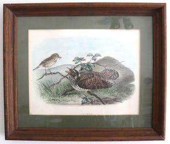 Cuckoo Bird Print, Framed