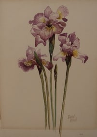 David Kirsch, 20th/21st Century, Iris Watercolor Painting, Signed, Titled