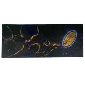 Lita Albuquerque, Signed. Pigment on Canvas.