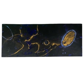 Lita Albuquerque, Signed. Pigment on Canvas.