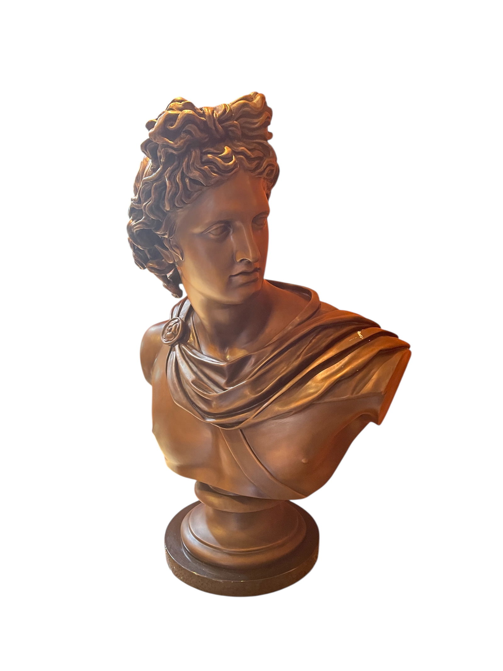 Apollo Belvedere Bronze Bust (1 of 1)