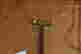 item-12628617=8