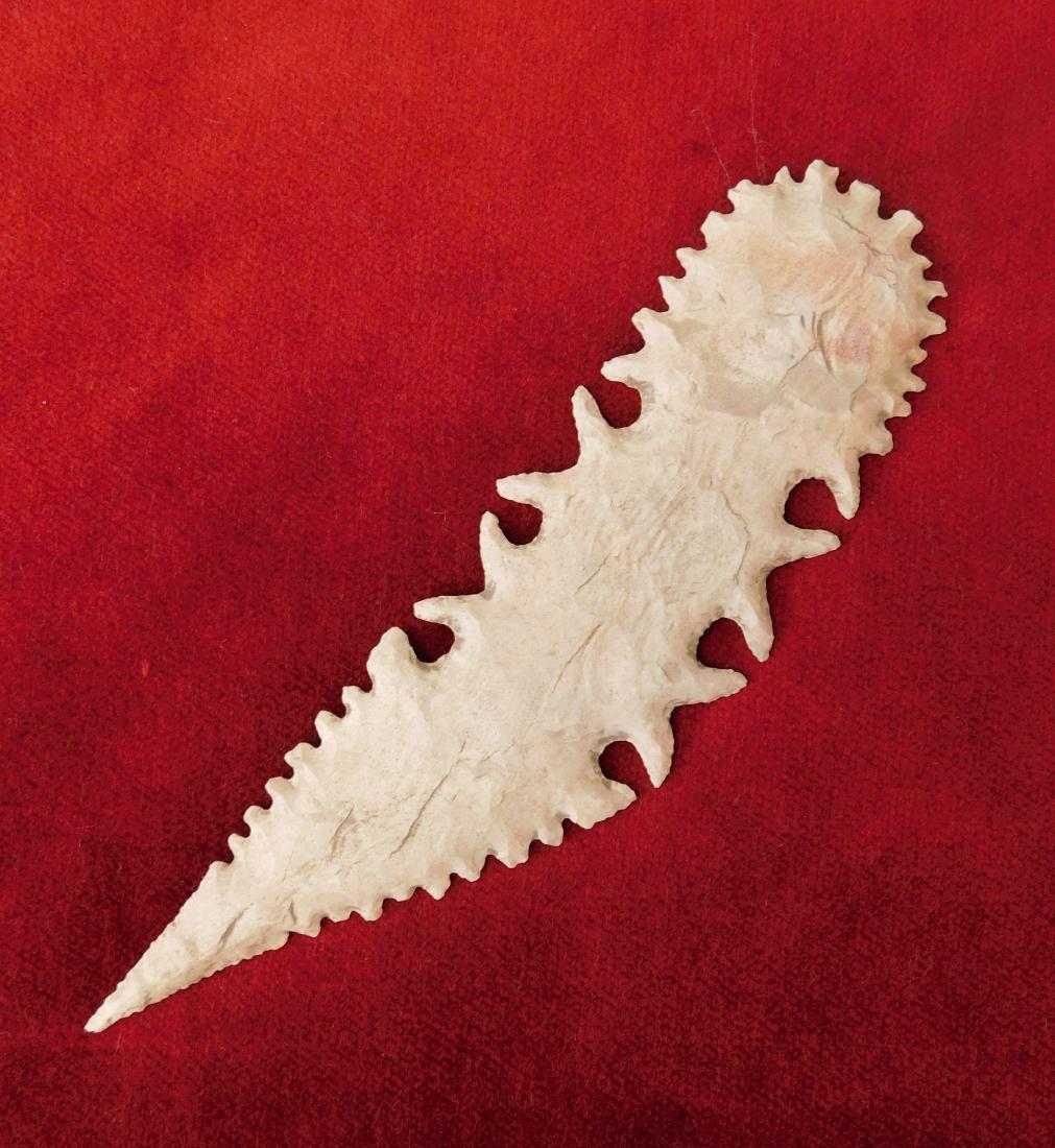 Lace Spear: Lace Spear, historic period, made of chert and measuring 7.25" long x 2". Tussinger, Oklahoma. Frame not included. Condition: Good, see images. Shipping: $22.00 w/insurance and signature, due to lengt