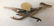 3 Sterling Silver Mexican Bird Pins - 8