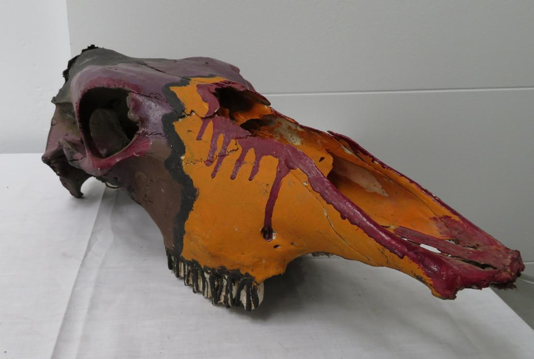 Horse Skull Trail Marker: Horse Skull Trail Marker, 20th century item. Made of bone and paint, the item measures 21" x 9" x 7". Northern Arizona. Colorful. Condition: No jawbone, see images. Shipping: $45.00 USA estimate only,