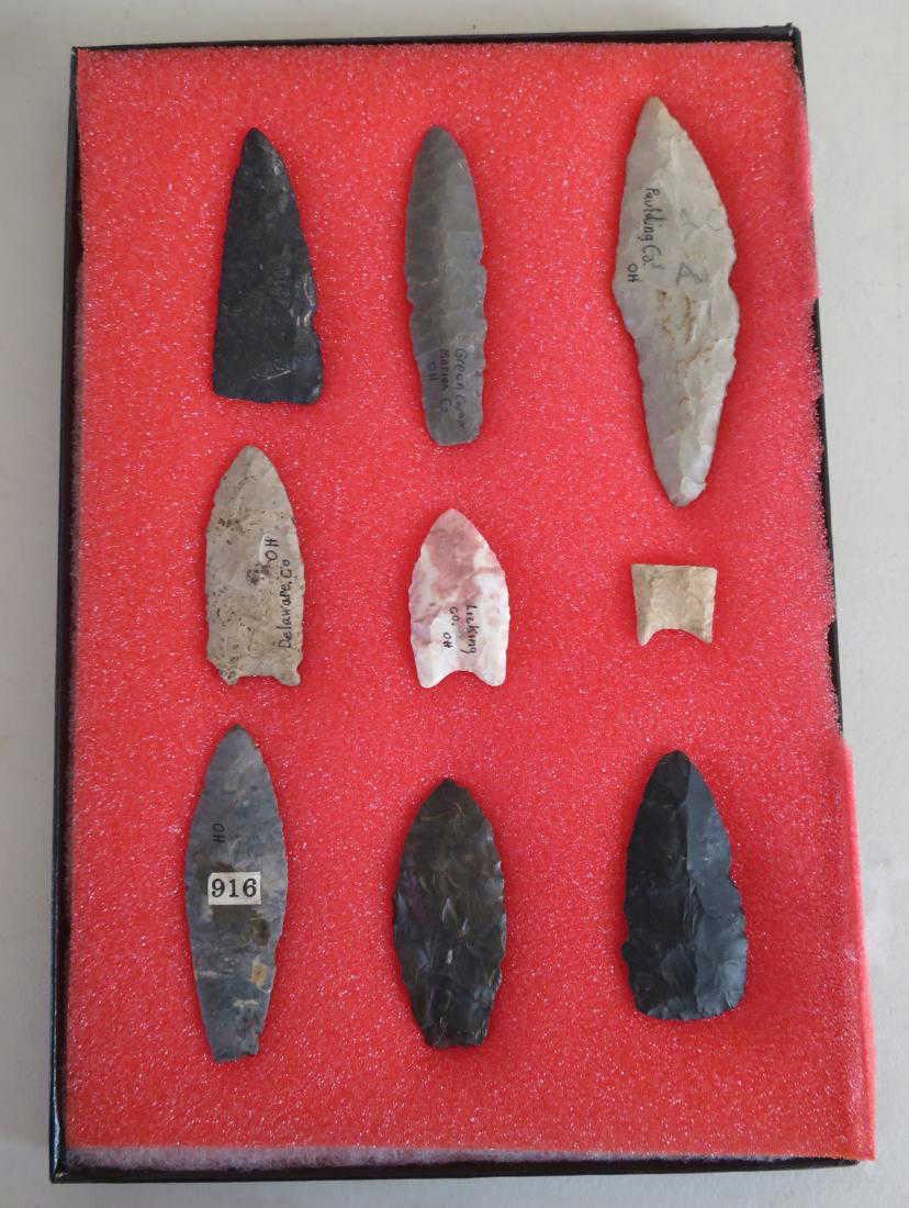 Paleo Point Collection